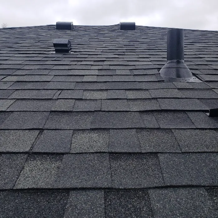 Olax Master Roofing Picture 4