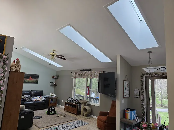 Queen Bee Roofing & Exteriors LLC Picture 2