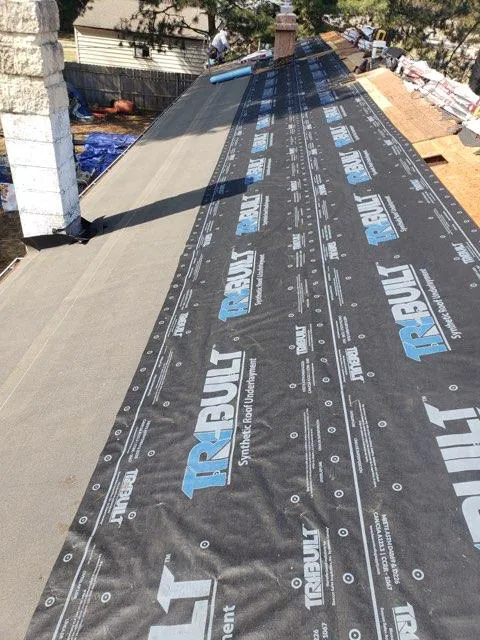 Queen Bee Roofing & Exteriors LLC Picture 5