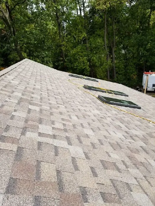 Queen Bee Roofing & Exteriors LLC Picture 4