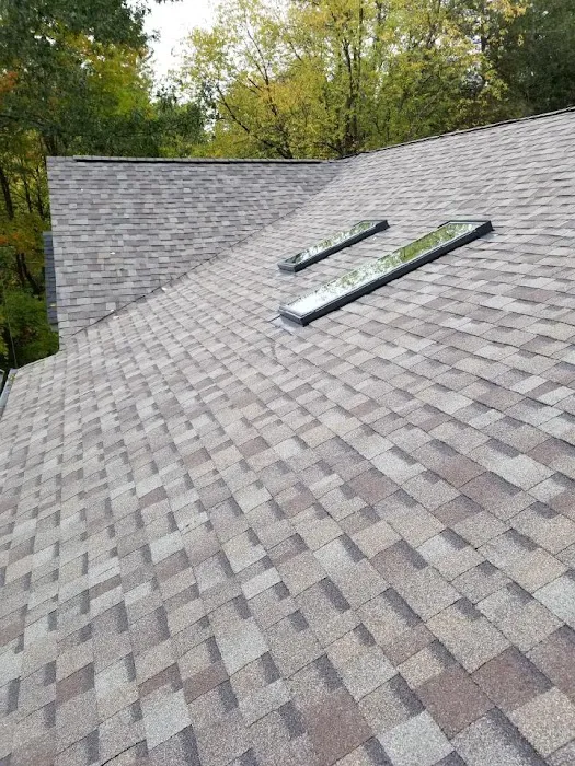 Queen Bee Roofing & Exteriors LLC Picture 6