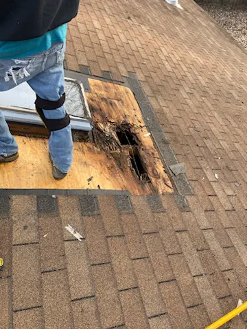 Queen Bee Roofing & Exteriors LLC Picture 7