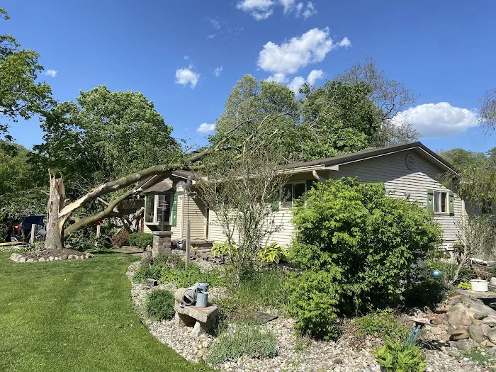 EARLY BIRD ROOFING Picture 7