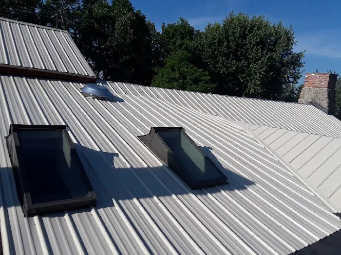 Element Roofing Picture 2