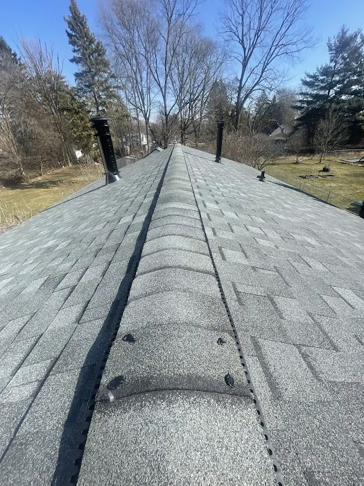 Super Mario's Roofing Picture 3