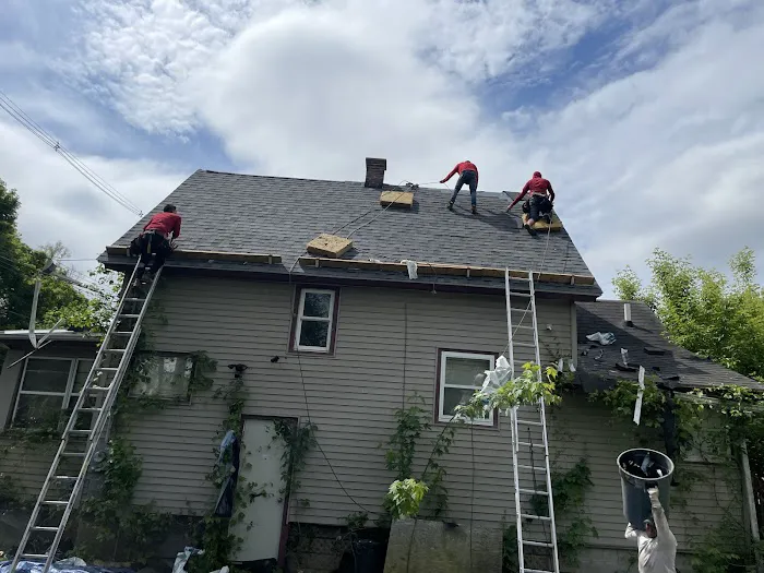 Super Mario's Roofing Picture 5