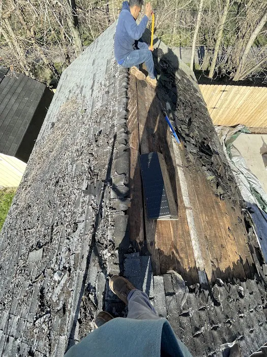 Super Mario's Roofing Picture 8