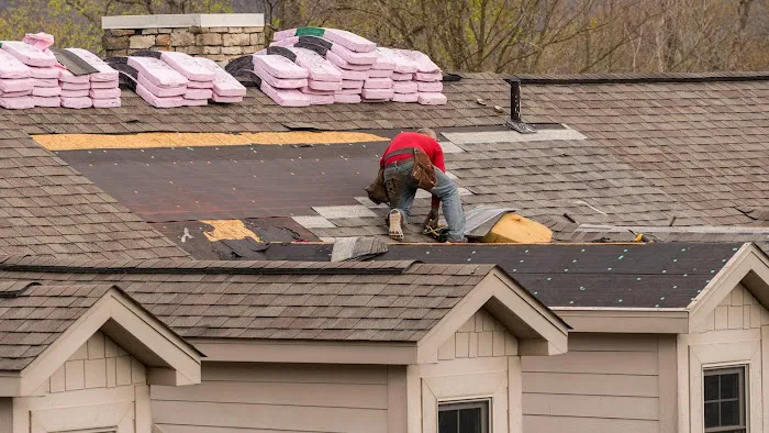 Swift Roof Picture 2