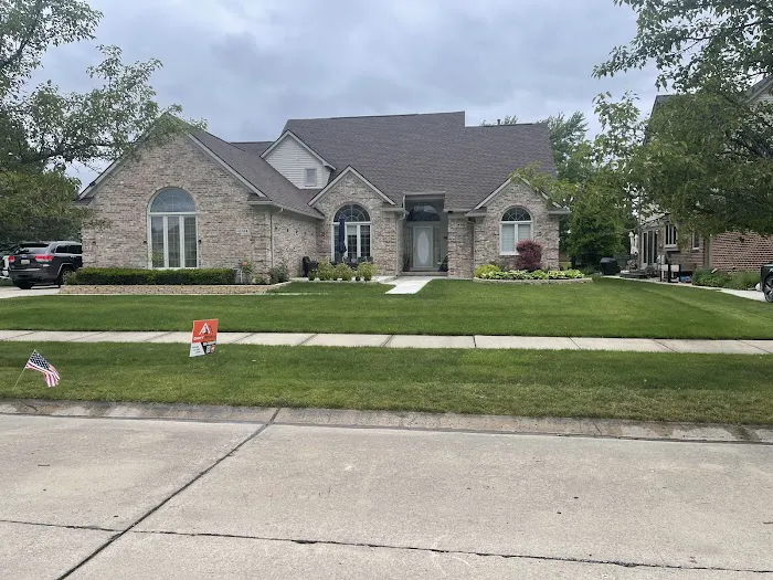 Swift Roof Picture 5