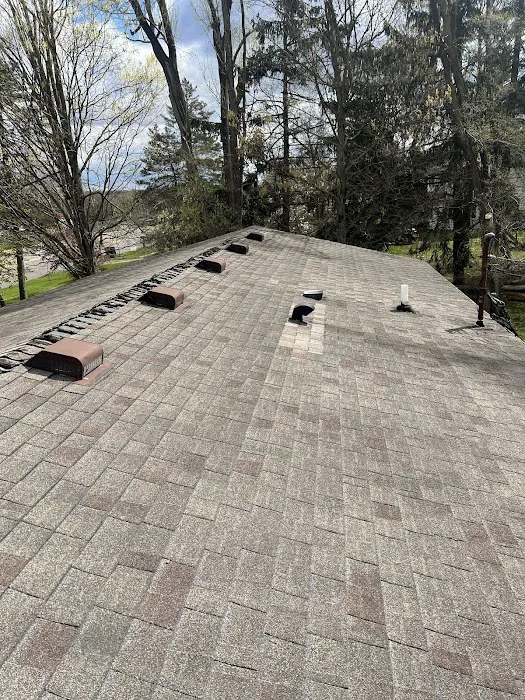 L G. Roofing Picture 6