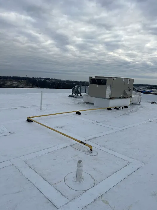 L G. Roofing Picture 8