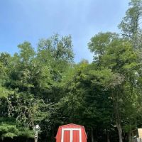 Diversified Services ico