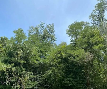 Diversified Services