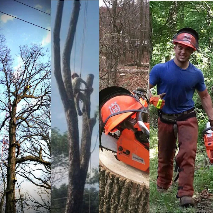 Diversified Services Picture 6