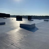 Diversified Services ico