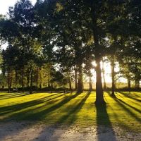 All Weather Roofing & Siding ico