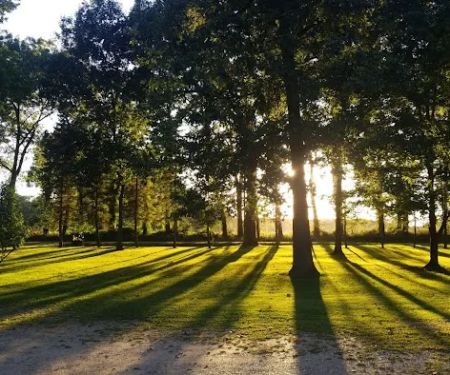 All Weather Roofing & Siding