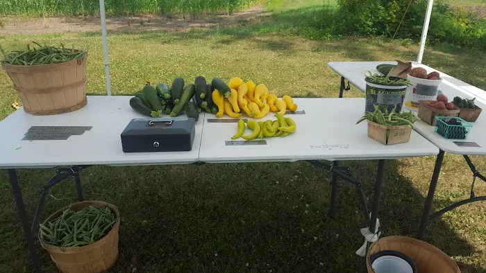 Fryman Roofing Company Picture 1