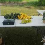 Fryman Roofing Company