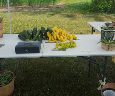 Fryman Roofing Company