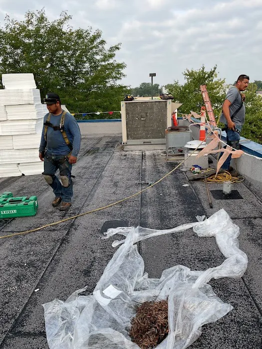 Royalty Roofing Picture 8