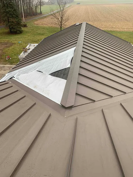 Stump Metal Roofing Picture 4