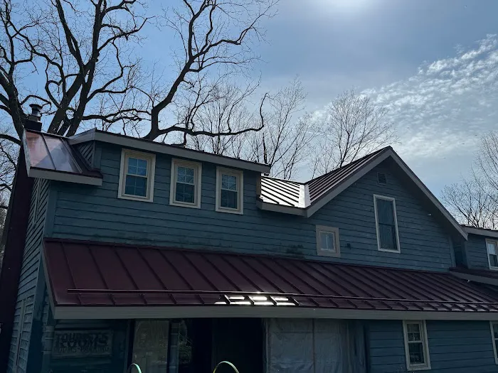 Stump Metal Roofing Picture 7