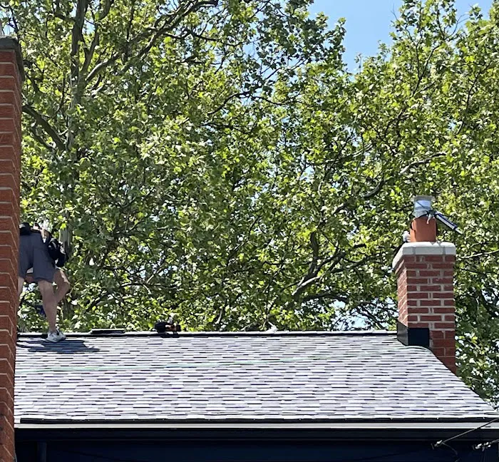 BCM Roofing Picture 3