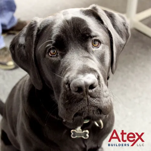 Atex Builders LLC Picture 8