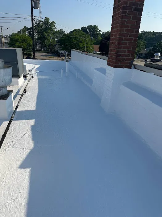 Silicoat Roofing Inc Picture 7