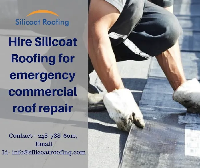 Silicoat Roofing Inc Picture 9