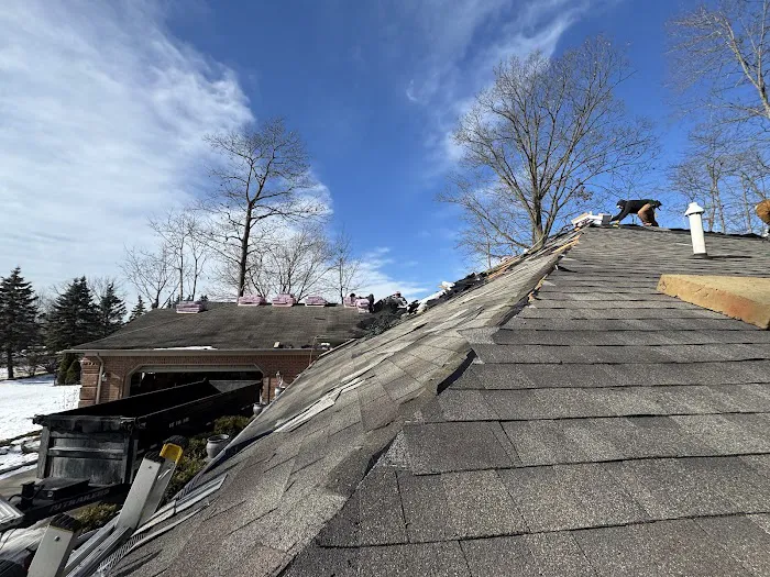 Premier Roofing And Renovations Picture 3