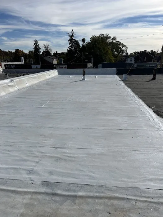 Armor Exterior Services Picture 1