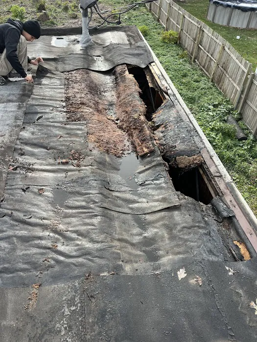 Armor Exterior Services Picture 4