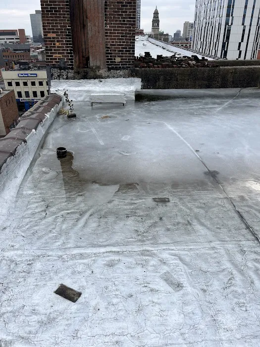 Armor Exterior Services Picture 9