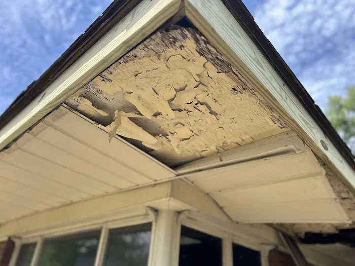 Mighty Dog Roofing of Detroit Metro Picture 1