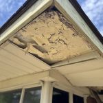 Mighty Dog Roofing of Detroit Metro