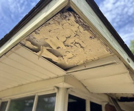 Mighty Dog Roofing of Detroit Metro