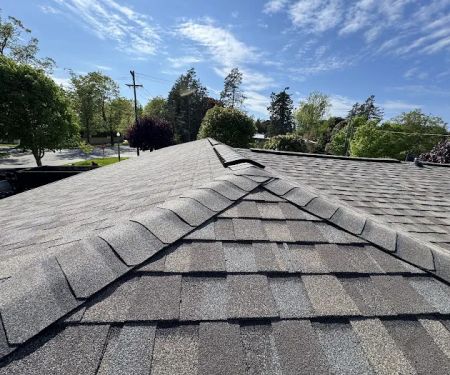 Vertex Roofing Solutions