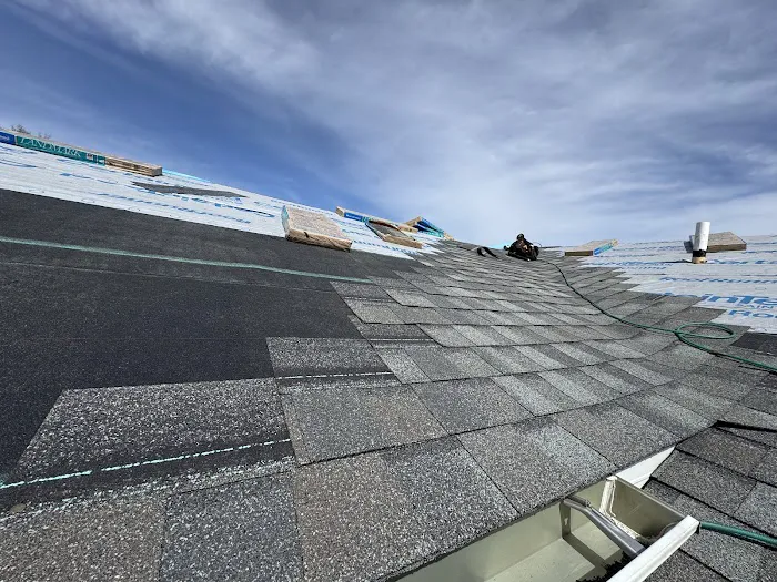 Vertex Roofing Solutions Picture 8