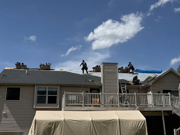 Vertex Roofing Solutions Picture 7