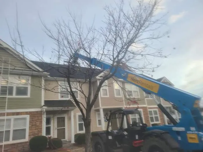 Cohen Construction and Roofing Picture 8