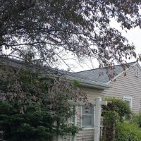 Timbercrest Roofing and Siding ico
