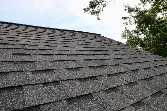 Roofing Innovations Picture 2