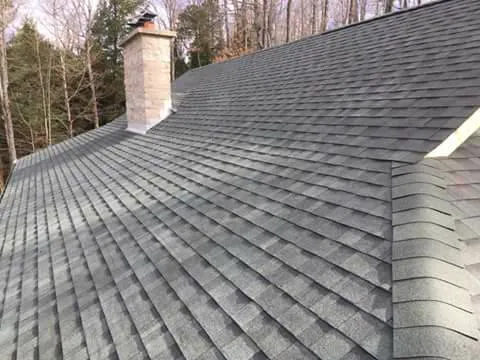 The Roofer Picture 1