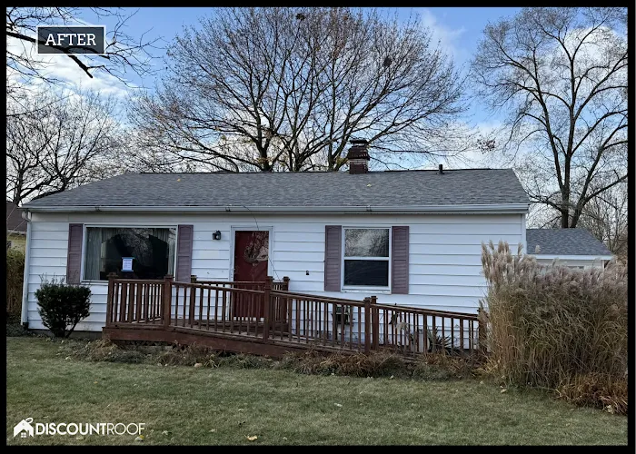 Discount Roof Picture 6