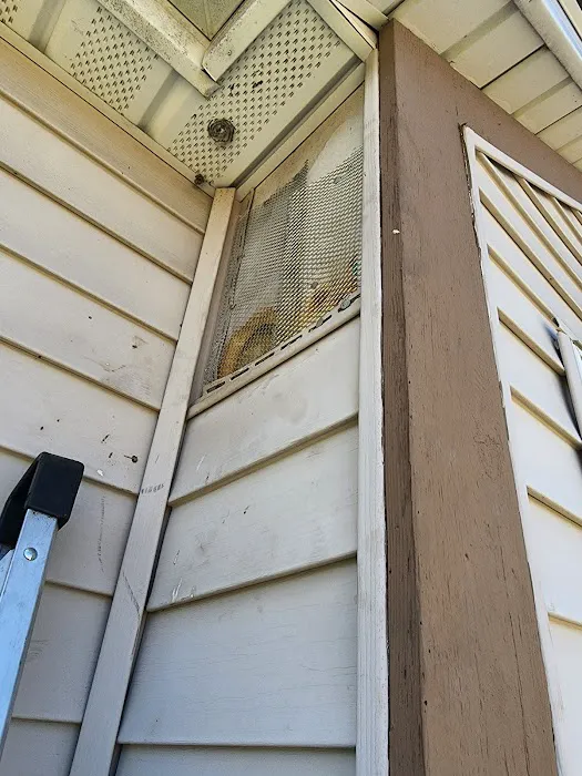 Mr. And Mrs. Handyman/Roofing LLC Picture 10