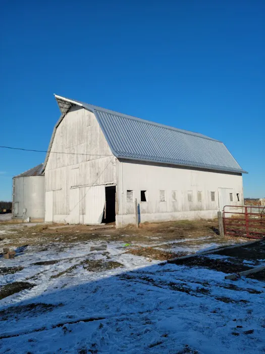 Roof Masters Picture 5