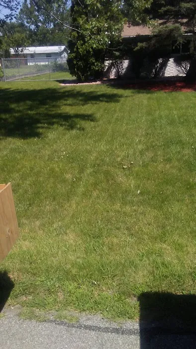 Brown & Sons Roofing Picture 1