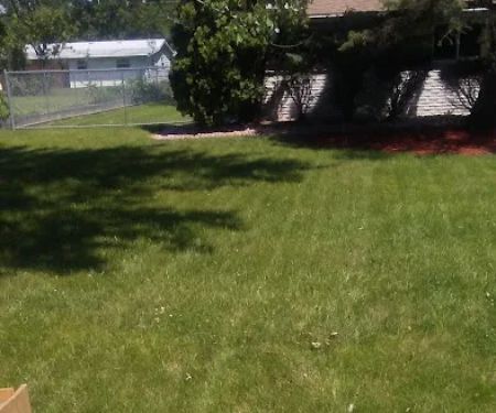 Brown & Sons Roofing